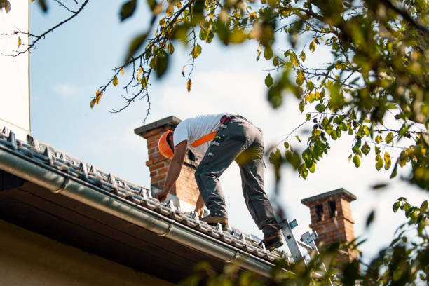 Residential Roof Replacement in Nogales, AZ
