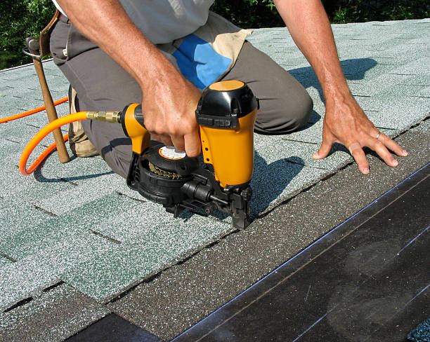 Best Roof Waterproofing Services  in Nogales, AZ